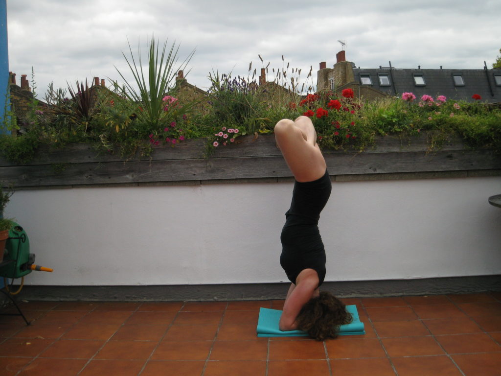 tim padmasana in sirsasana Art Of Yoga